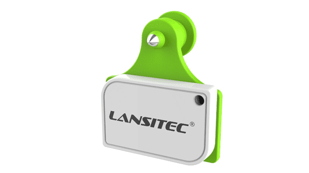 Cattle Smart Ear Tag Technology